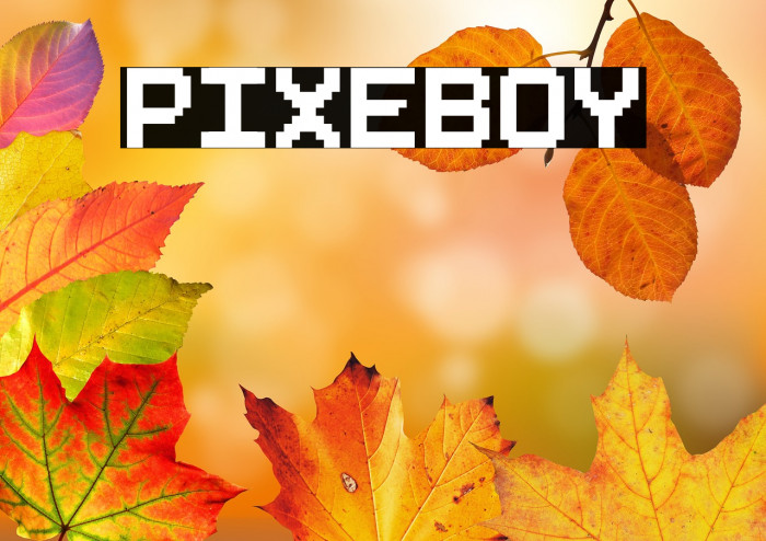 Pixeboy Example 2