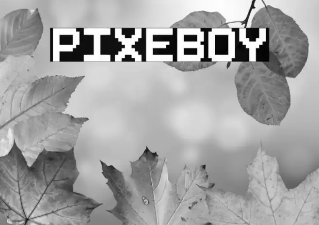 Pixeboy Font examples
