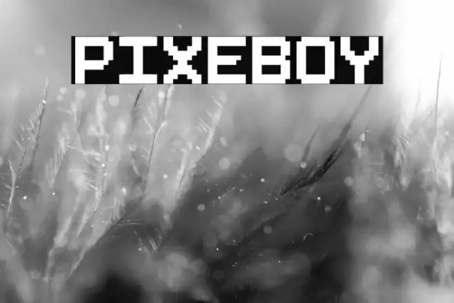 Pixeboy Font examples