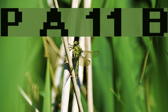 Pixel Arial 11 Bold Example 2