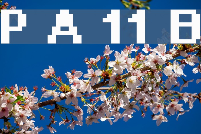 Pixel Arial 11 Bold Example 3