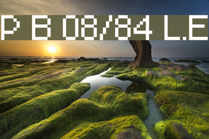 Pixel Berry 08/84 Ltd.Edition Font examples