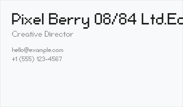 Pixel Berry 08/84 Ltd.Edition Business Card