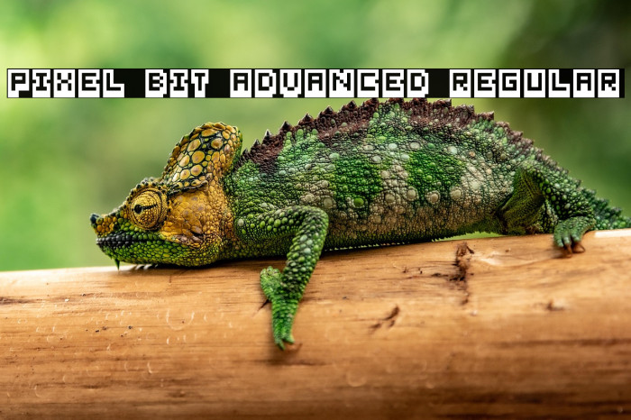 Pixel Bit Advanced Regular Example 2