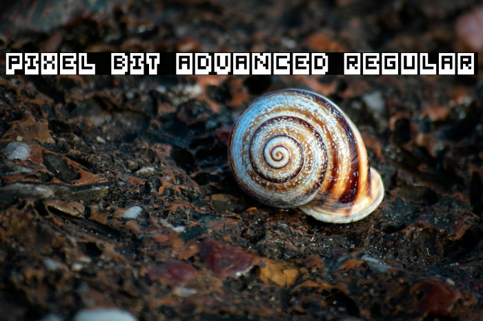 Pixel Bit Advanced Regular Example 3