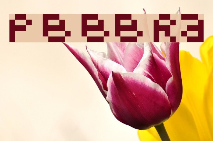 Pixel Block BB Regular Font examples