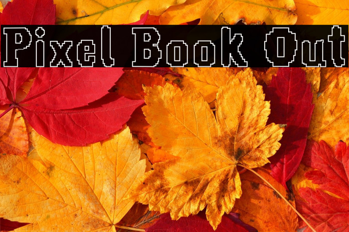 Pixel Book Out Example 3