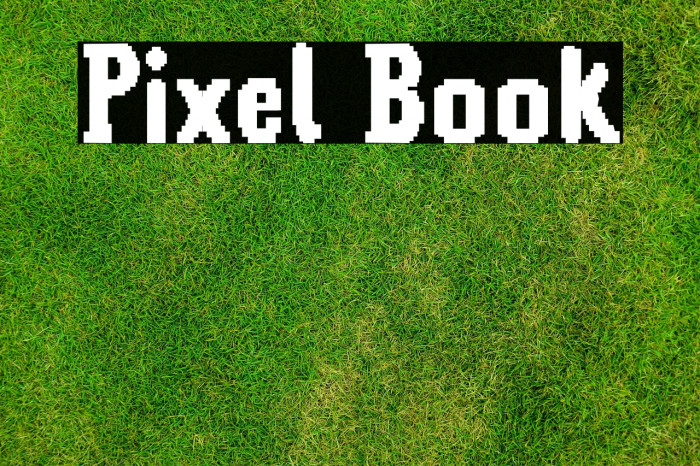 Pixel Book Example 3