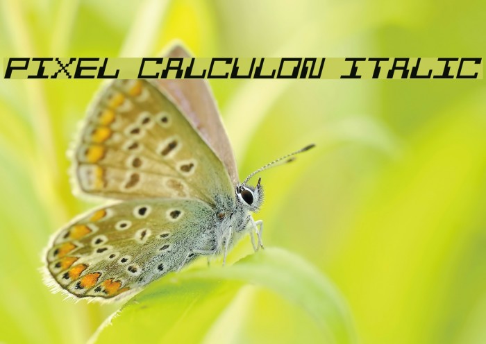 Pixel Calculon Italic Шрифта examples