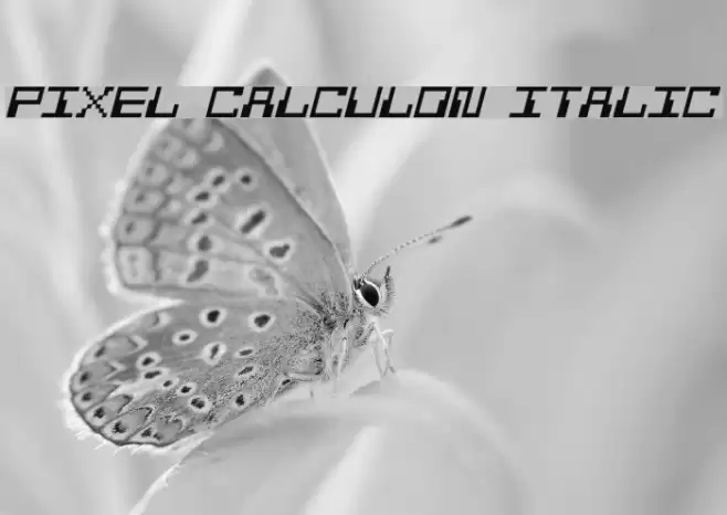 Pixel Calculon Italic Шрифта examples