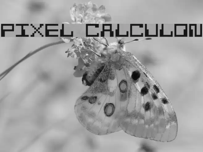 Pixel Calculon Schriftart examples