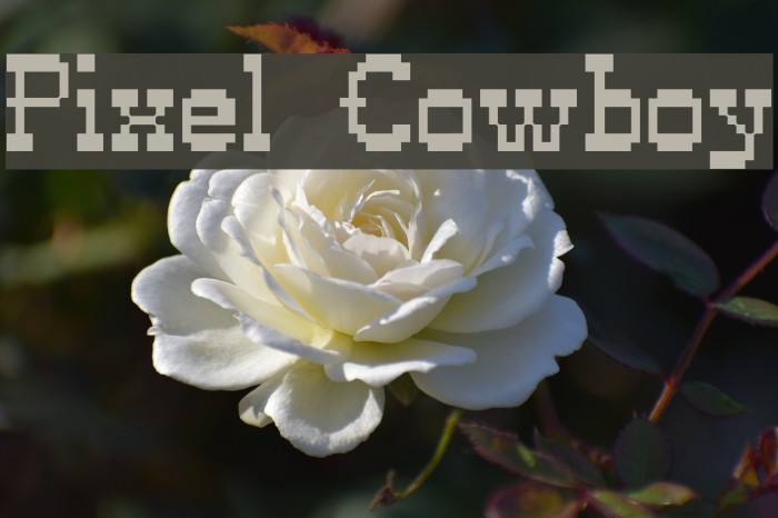 Pixel Cowboy Font examples