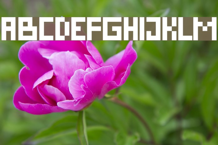 Pixel Cyr Normal Font examples