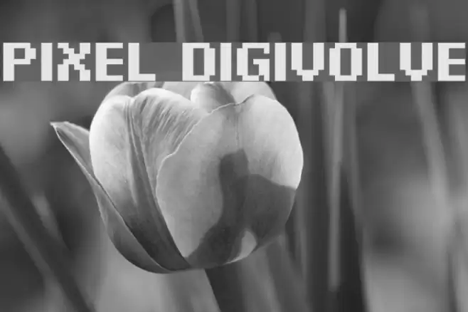 Pixel Digivolve Font examples