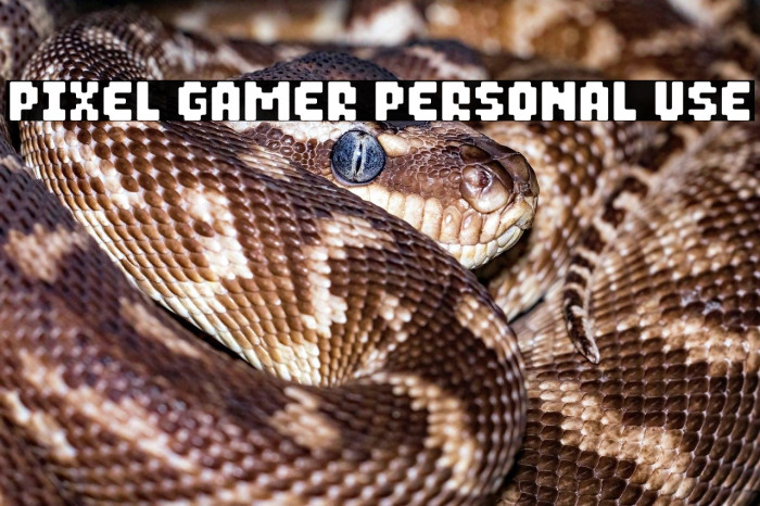 Pixel Gamer Personal use Example 1