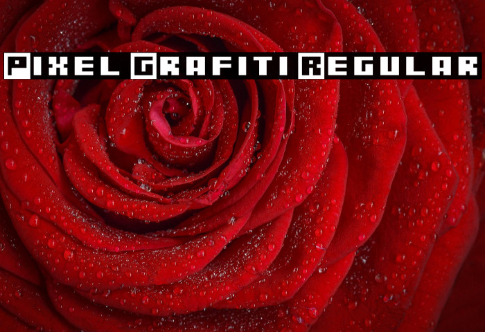 Pixel Grafiti Regular Example 1