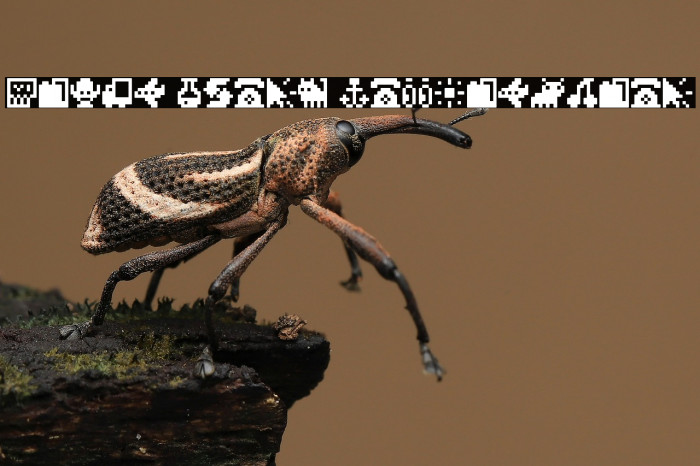 Pixel Icons Compilation Example 3