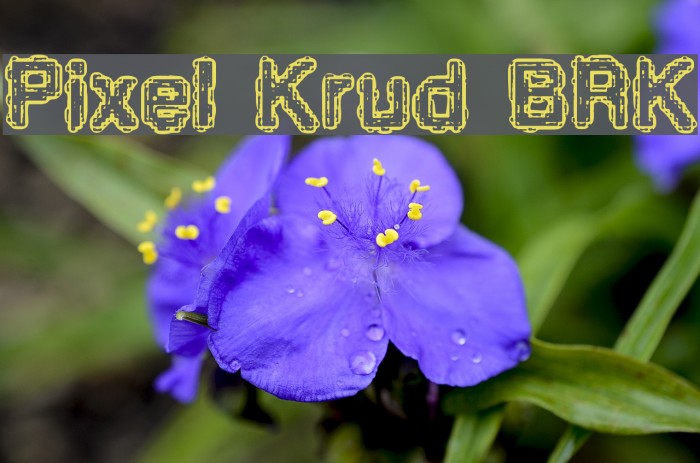 Pixel Krud [BRK] Example 2