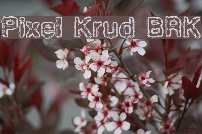 Pixel Krud [BRK] Example 3