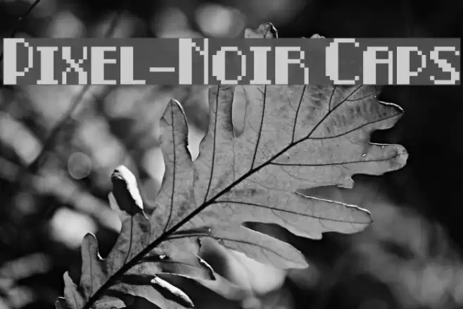 Pixel-Noir Caps Font examples