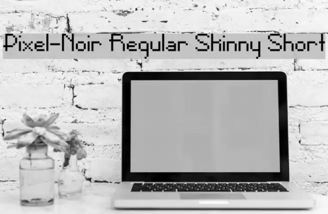 Pixel-Noir Regular Skinny Short Font examples