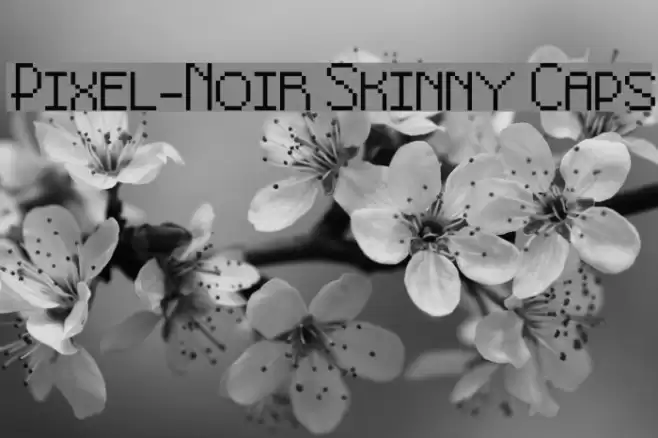 Pixel-Noir Skinny Caps Font examples