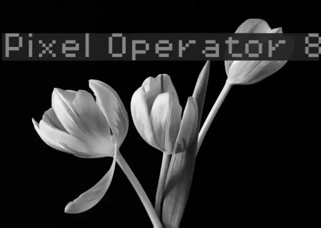 Pixel Operator 8 Font examples