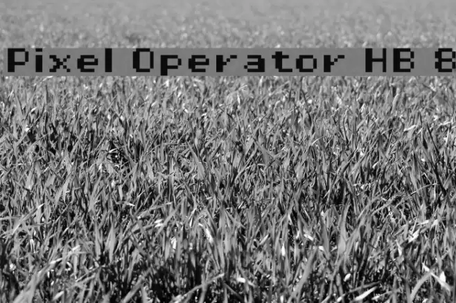 Pixel Operator HB 8 Font examples
