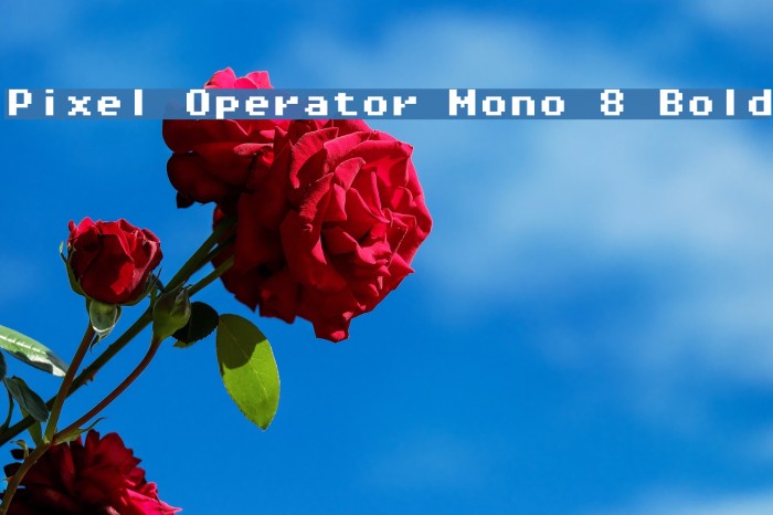 Pixel Operator Mono 8 Bold Font examples