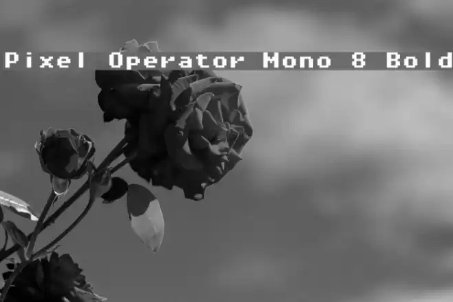 Pixel Operator Mono 8 Bold Font examples