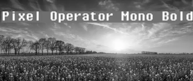 Pixel Operator Mono Bold Font examples