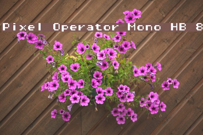 Pixel Operator Mono HB 8 Font examples