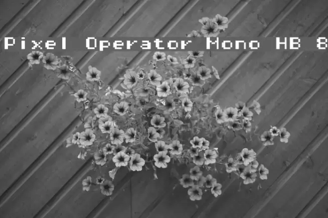 Pixel Operator Mono HB 8 Font examples