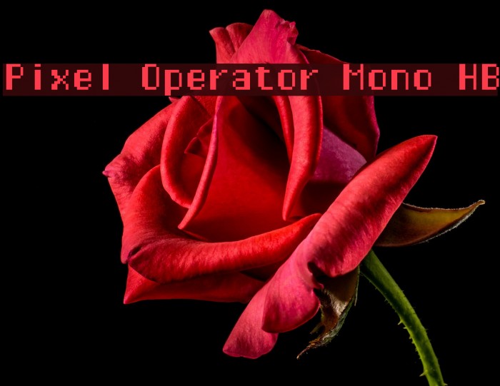Pixel Operator Mono HB Font examples