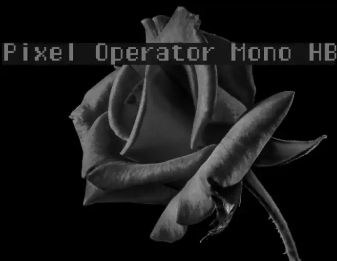 Pixel Operator Mono HB Font examples