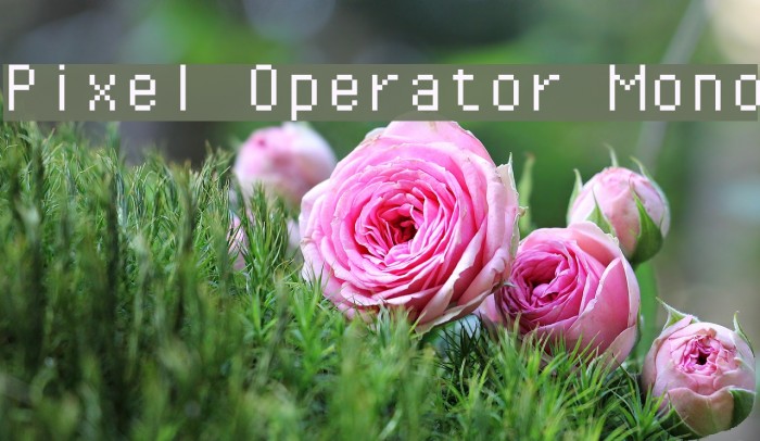 Pixel Operator Mono Font examples