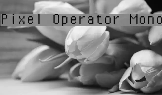 Pixel Operator Mono Font examples