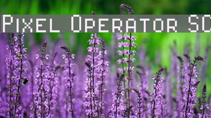 Pixel Operator SC Font examples