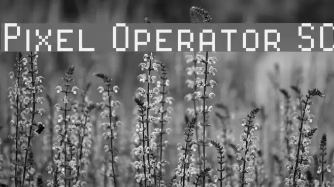 Pixel Operator SC Font examples