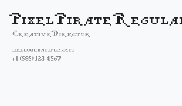 Pixel Pirate Regular Business Card
