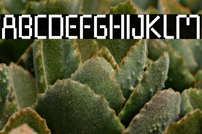 Pixel Rand Example 1