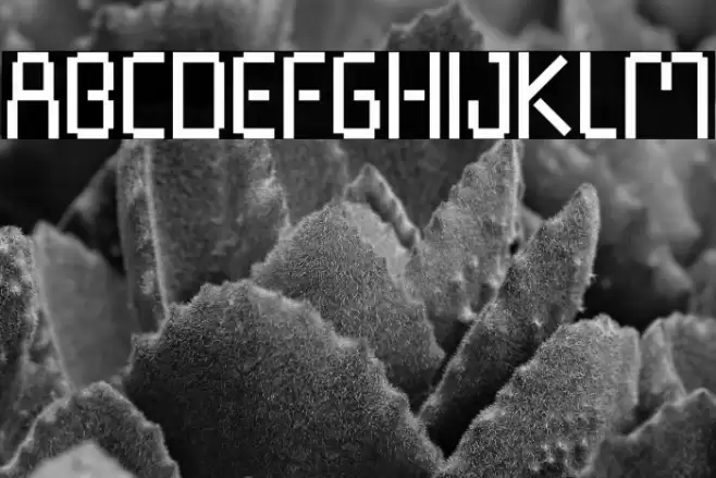 Pixel Rand Font examples