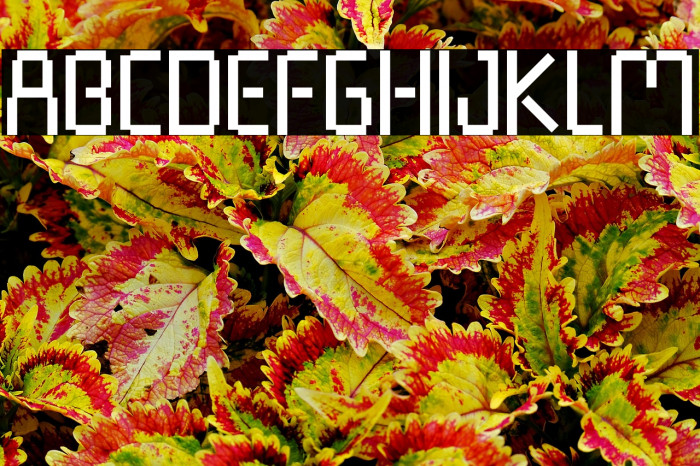 Pixel Rand Example 3