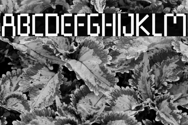 Pixel Rand Font examples