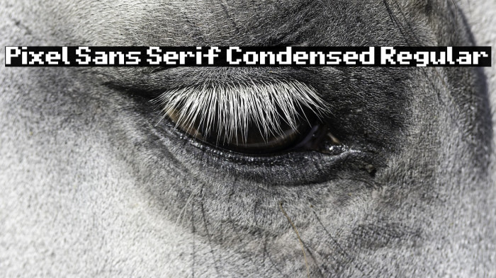 Pixel Sans Serif Condensed Regular Example 1