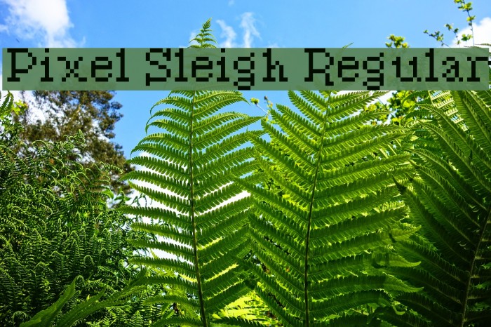 Pixel Sleigh Regular Font examples