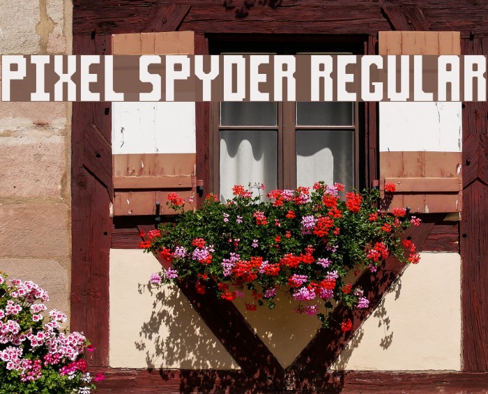 Pixel Spyder Regular Font examples