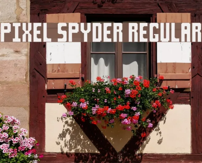 Pixel Spyder Regular Example 1