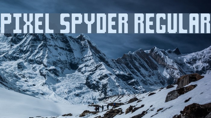 Pixel Spyder Regular Font examples