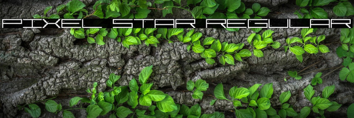 Pixel Star Regular Example 1